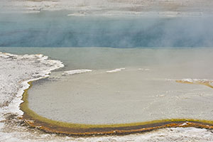 Yellowstone-land